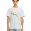 MSGM T-Shirt Girocollo In Cotone Con Grafica " Margarita" E "Club Paradiso" White Outlet